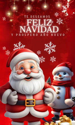 Funda Navidad para Puerta